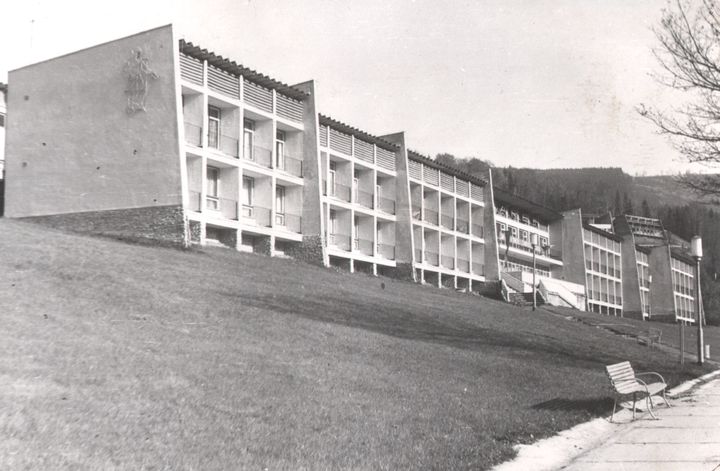 137.jpg