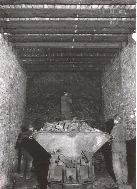 141.jpg