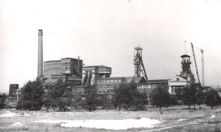 146.jpg