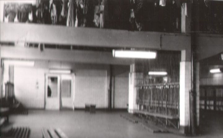 169.jpg