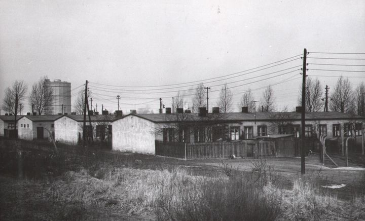 177.jpg