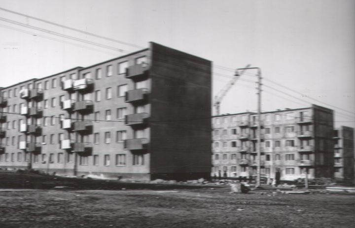 178.jpg