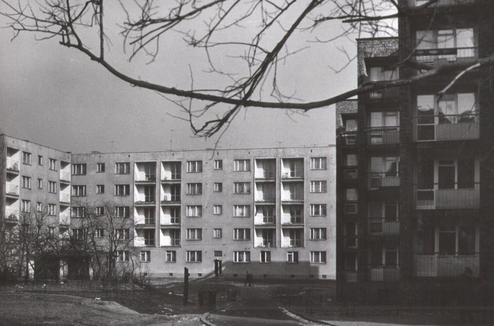 179.jpg