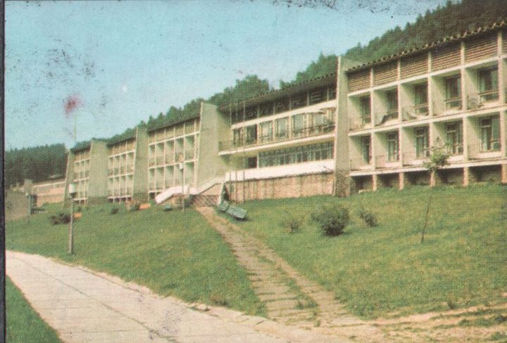 196.jpg