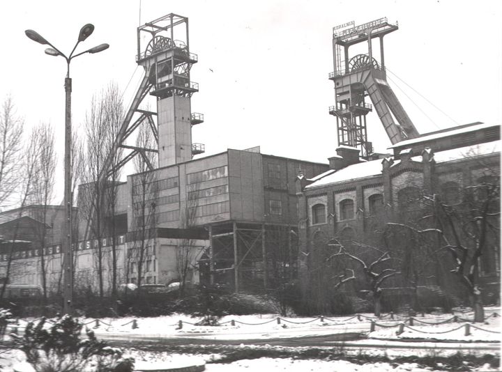 223.jpg