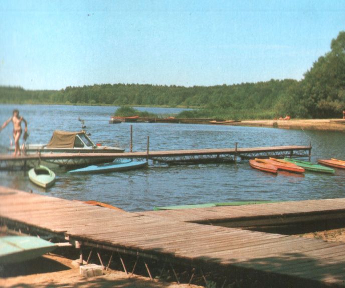 260.jpg