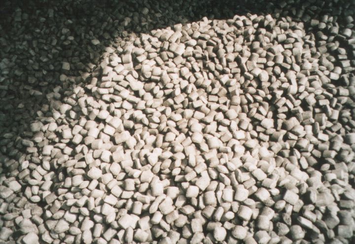 557.jpg