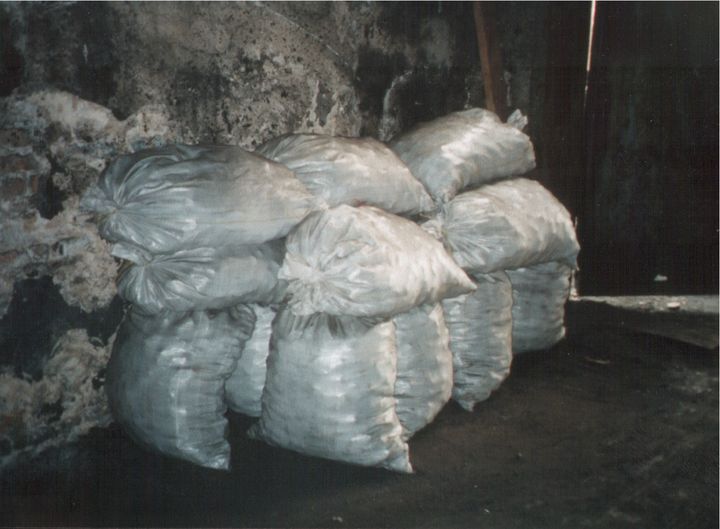 558.jpg