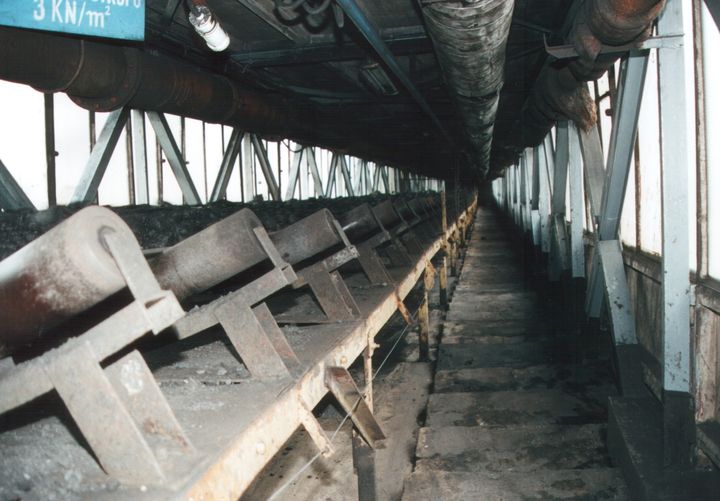 577.jpg