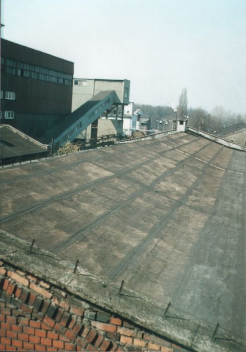 663.jpg