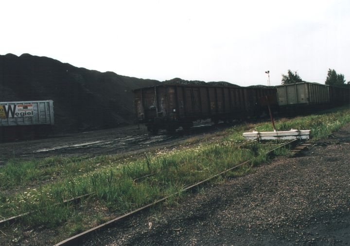 966.jpg