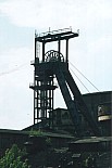 1007.jpg