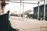 1109.jpg
