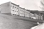 137.jpg