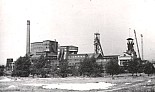 146.jpg