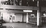 169.jpg