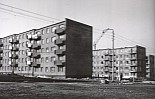 178.jpg