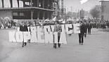 195.jpg