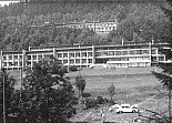 207.jpg