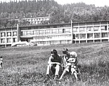 230.jpg