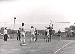 268.jpg