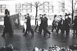 290.jpg