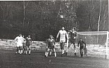 348.jpg