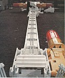 377.jpg