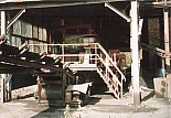 559.jpg