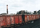581.jpg