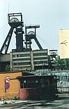 603.jpg