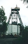 604.jpg