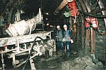 795.jpg
