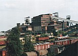 963.jpg