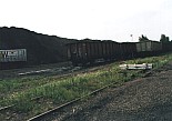 966.jpg