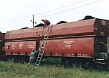 967.jpg